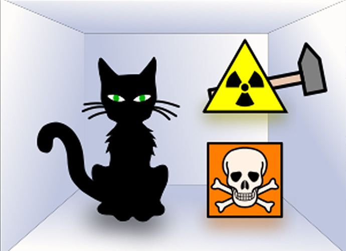 Symbolic setup of Schrödinger's cat experiment